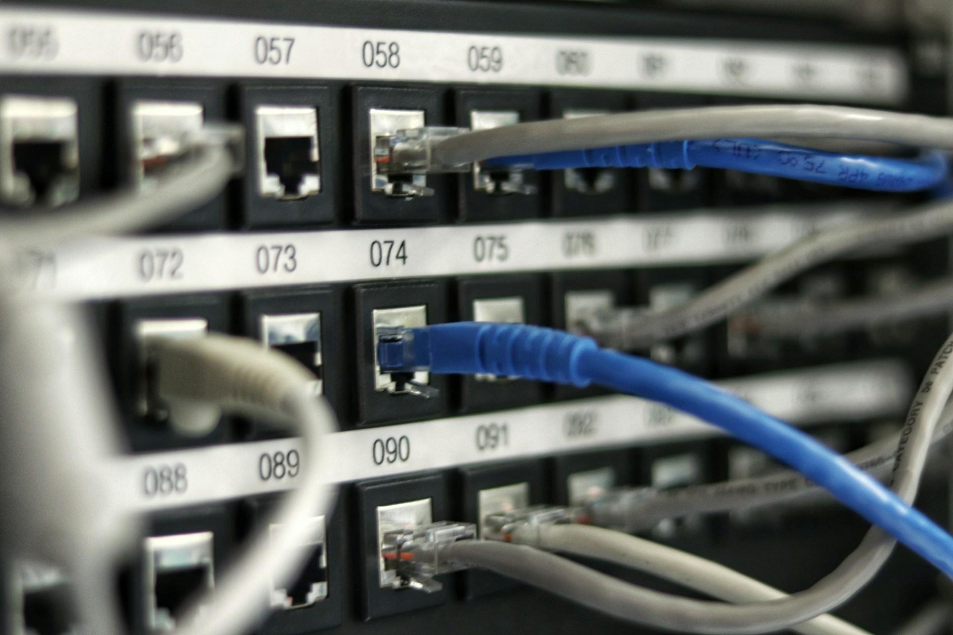 Ethernet patch panel with numbered ports and blue and gray cables